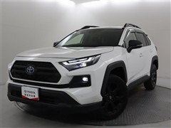 RAV4HVアドベン オフロード2