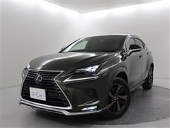 NX300h スパイスアンドシック