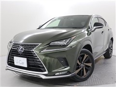 NX300h スパイスアンドシック