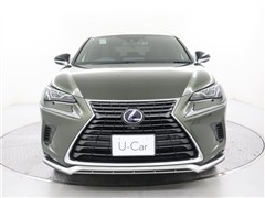 NX300h スパイスアンドシック