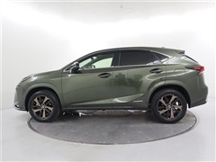 NX300h スパイスアンドシック
