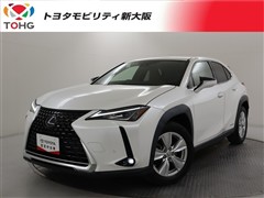 UX250h バージョンC