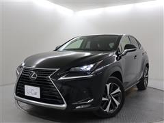 NX300 Iパッケージ