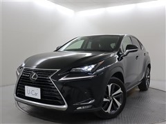 NX300 Iパッケージ