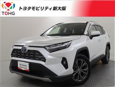 RAV4 HV G