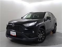 RAV4 X