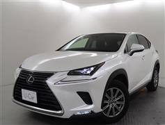 NX300h Iパッケージ