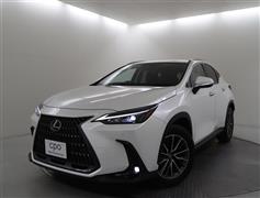 NX250