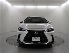 NX250