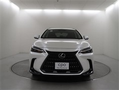 NX250