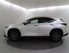 NX250