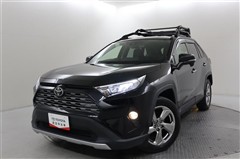 RAV4 G