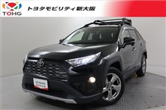 RAV4 G