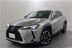 UX250h バージョンL