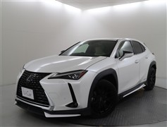 UX250h バージョンL
