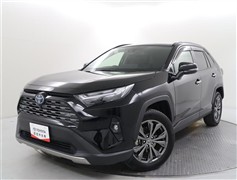 RAV4 HV G