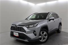 RAV4 G
