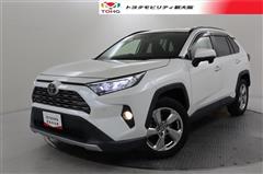 RAV4 G