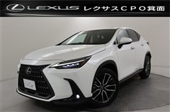 NX450h+ バージョンL