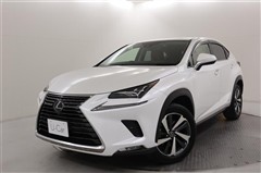 NX300h Iパッケージ