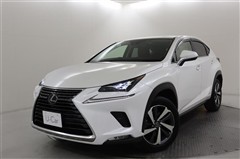 NX300h Iパッケージ