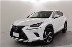 NX300h Iパッケージ