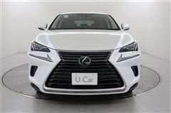 NX300h Iパッケージ