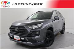 RAV4 アドベンチャー オフロート