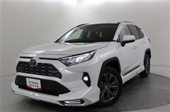 RAV4 G
