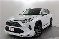 RAV4 G