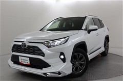 RAV4 G