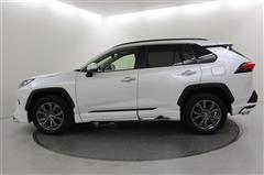 RAV4 G