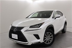 NX300h Iパッケージ