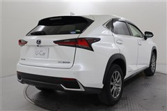 NX300h Iパッケージ