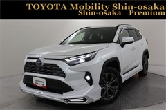 RAV4 ハイブリッドG