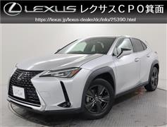 UX250h バージョンC