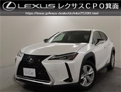 UX250h バージョンC