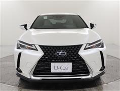 UX250h バージョンC