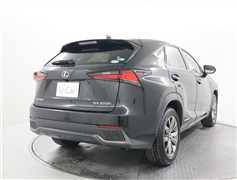 NX300h Fスポーツ