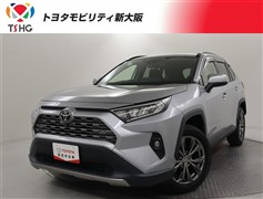 RAV4 G