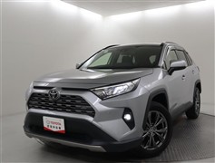 RAV4 G