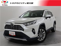 RAV4 G Zパッケージ