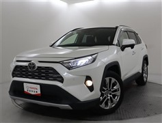 RAV4 G Zパッケージ