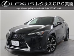 UX250h バージョンL