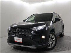 RAV4 G Zパッケージ