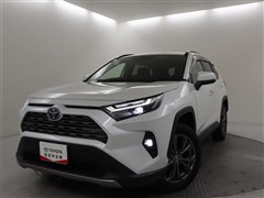 RAV4 HV G