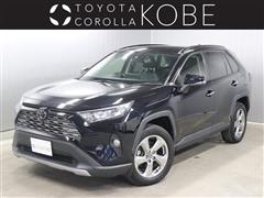 RAV4 G
