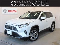 RAV4 G Zパッケージ