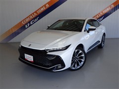 クラウンクロスGレザーヒョウガイシャ