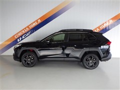 RAV4アドベンチャー ヒョウガイ
